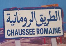 8e0175b0-7de1-49ee-a8e8-8e704bab59c7 8e0175b0-7de1-49ee-a8e8-8e704bab59c7