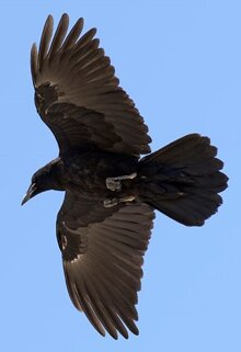 26153b74-cc19-48f7-a77b-36137233e5c9