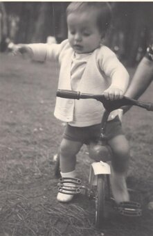 f5419037-a743-4d95-b0ea-b296dbf0a9e4