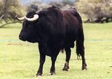 9edc7eb9-d802-4201-a936-ec89a746bd75