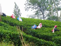 f4a0dd9a-97f8-419c-913f-9afd9e8fadca