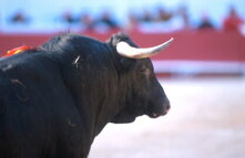 2699f42e-319e-4430-88fc-5341872cd5b7