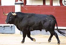 fd50b242-ebf0-4e6a-b317-5a36eb745f1e