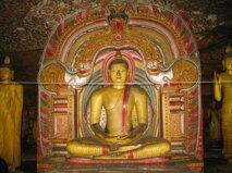 f5c10cea-055c-43db-bdae-0d65569eb7f5