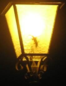 b7fb83ee-707a-463f-8605-d158210f53ed