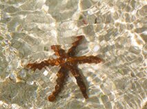 aee0787f-a8c0-48b9-bfc1-f781a7fc220b