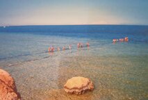 dfe4b9ed-af46-43f8-bc6e-1fea6e5d4697