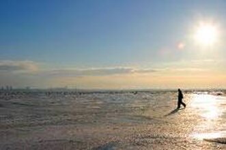 f59c49fe-12c7-4483-a3fe-6df50d2840f3 f59c49fe-12c7-4483-a3fe-6df50d2840f3