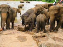 78de09a6-5188-458d-afc0-ca0b9ea43525