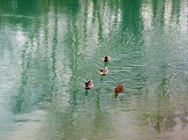 15e2b508-2b97-45d7-bf41-4d44ce8715d8