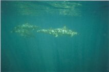 2af43f1f-ac08-4d65-ac17-f1ce317e83cf