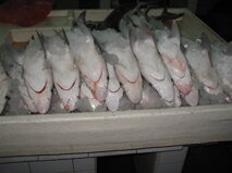 404d6aa6-30cf-421c-bb0e-8d700c2668b4