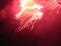 f916ef30-15d6-4fe8-858a-5972416a1363