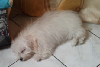 091aba13-fede-41b0-a3cd-e4576ddd664f