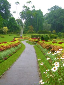 c6253bc7-2320-4d4f-a8ff-589cff80f4a7