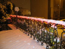 c6a7c1d3-3cca-4474-83ed-d1ca19ffdd55