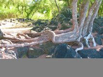 a4540e3c-a54d-484e-8b32-1e5013a5f18c