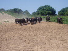 b8fedcbc-9cd4-4a5a-938c-aeaf5405b36c