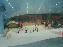 5e550623-db65-4186-9773-67375e74e274