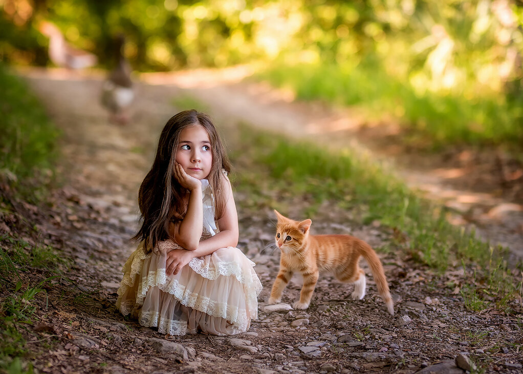 dsc_1003 kotek.jpeg dsc_1003 kotek.jpeg