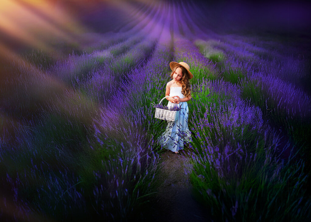 zgp_0484 str.jpeg zgp_0484 str.jpeg