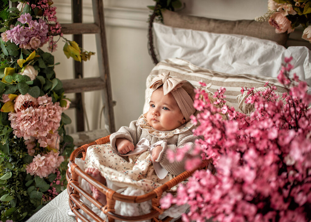 dsc_7331.jpeg dsc_7331.jpeg