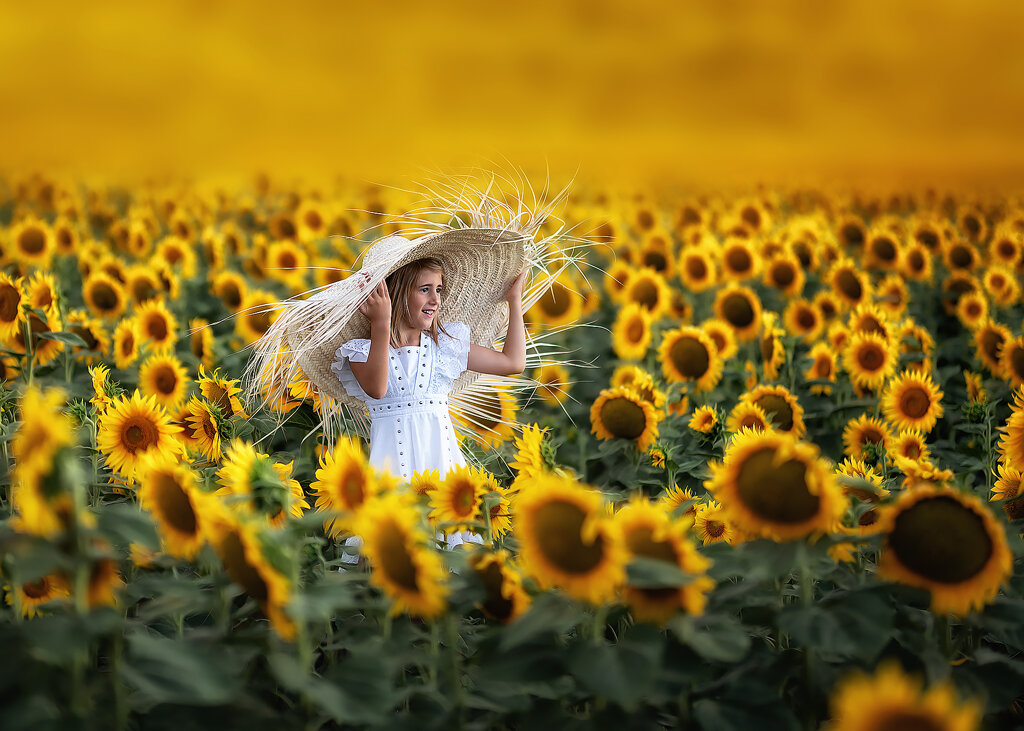 dsc_1796.jpeg dsc_1796.jpeg