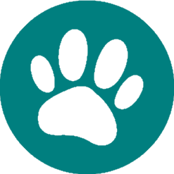 petfriendlyhotelolimpictrentino