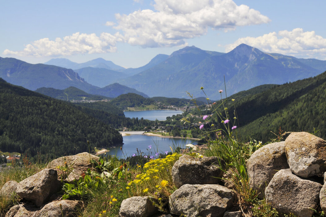 4c68b08c-65de-43ed-8f66-d9d711c4b668