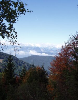 A spasso per l'Altopiano di Piné