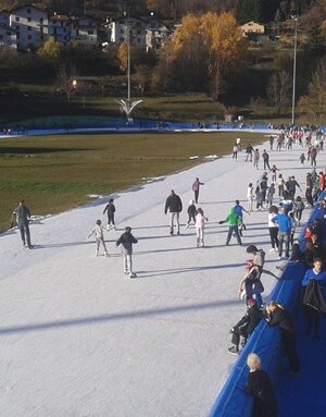 Pattinare sul ghiaccio dei campioni!