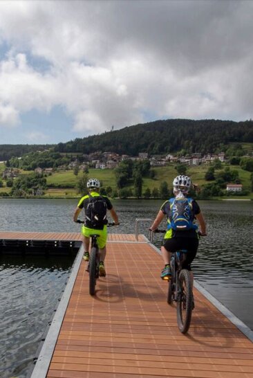 25f94aa5-10b8-4a32-a303-f476973ad255