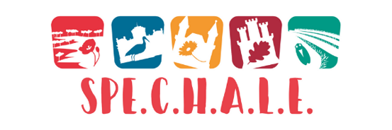 bb3bfa23-4b1b-4bb9-a758-1c26092384c7