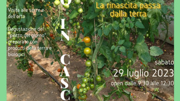 5f573340-53ea-47d0-a0cc-8e6df12d3485