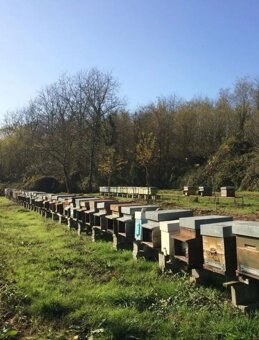 c8bae6e7-5436-42ca-8f55-cc0201ed8c18 c8bae6e7-5436-42ca-8f55-cc0201ed8c18