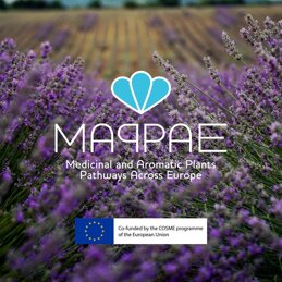 9e1bd214-fd7d-47cf-a01a-69a7c44624c4 9e1bd214-fd7d-47cf-a01a-69a7c44624c4