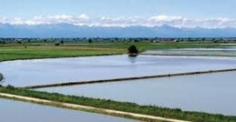 dc3ccc4f-7702-4b41-a1d8-2ff1b7df2ecc dc3ccc4f-7702-4b41-a1d8-2ff1b7df2ecc