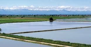 dc3ccc4f-7702-4b41-a1d8-2ff1b7df2ecc