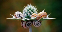 e20f8ba2-52e3-446a-8be3-d3ddf32993fa.jpeg e20f8ba2-52e3-446a-8be3-d3ddf32993fa.jpeg