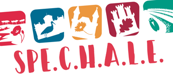 20c393da-79d7-4735-ad41-e2ec59bc6388