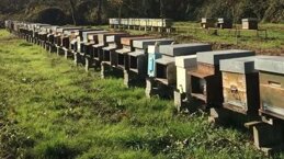 e68af156-d1a6-4a94-9765-b81a21bfa5bd