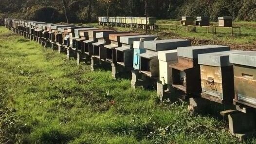 e68af156-d1a6-4a94-9765-b81a21bfa5bd e68af156-d1a6-4a94-9765-b81a21bfa5bd