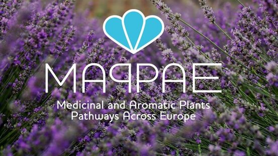 d670161f-c401-4ba2-b6ed-f1f6a4eb1d6a