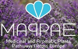 50ecd478-cc16-4cc9-b206-a5a97fac3cde