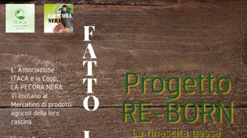 6e695ffc-43e8-425b-888f-ac6065e84087