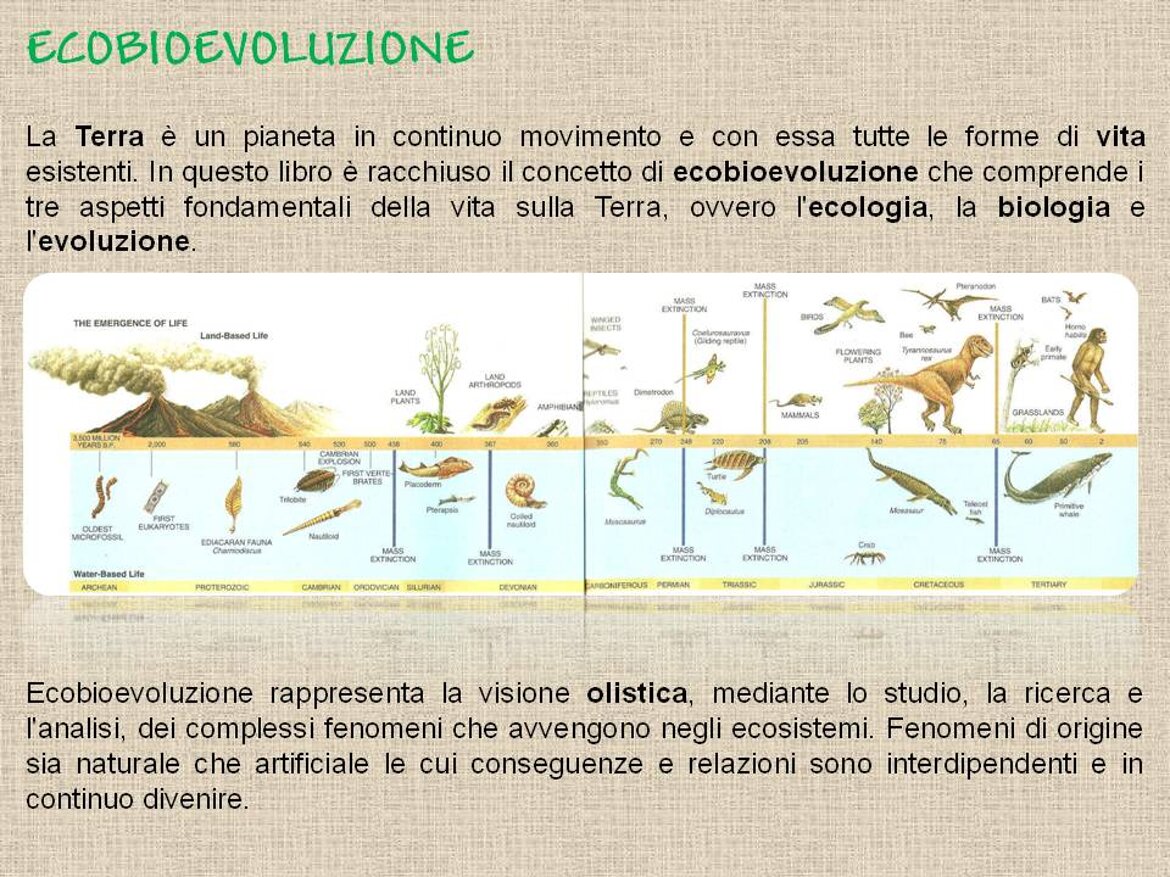 f98185ef-081b-428a-886b-8206f2af03a4