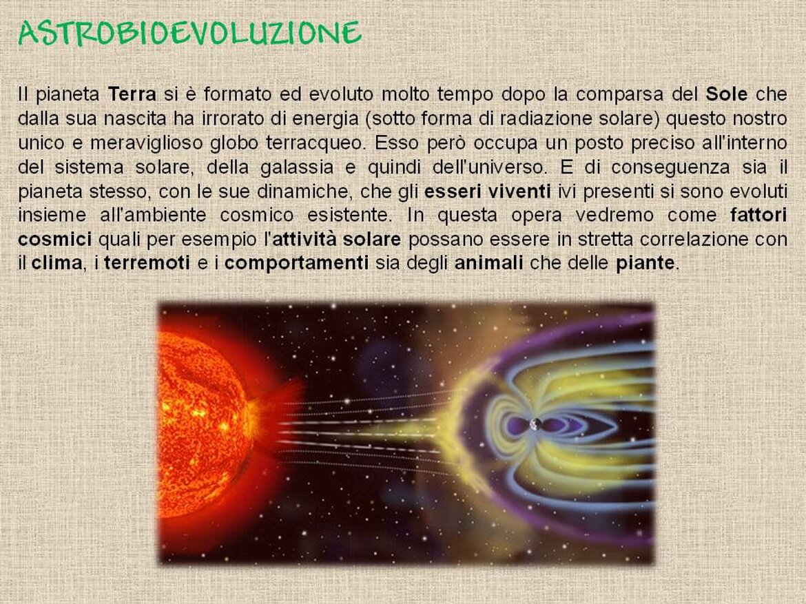 b378257f-5c12-46d2-92c2-abbe6e3b6fa7