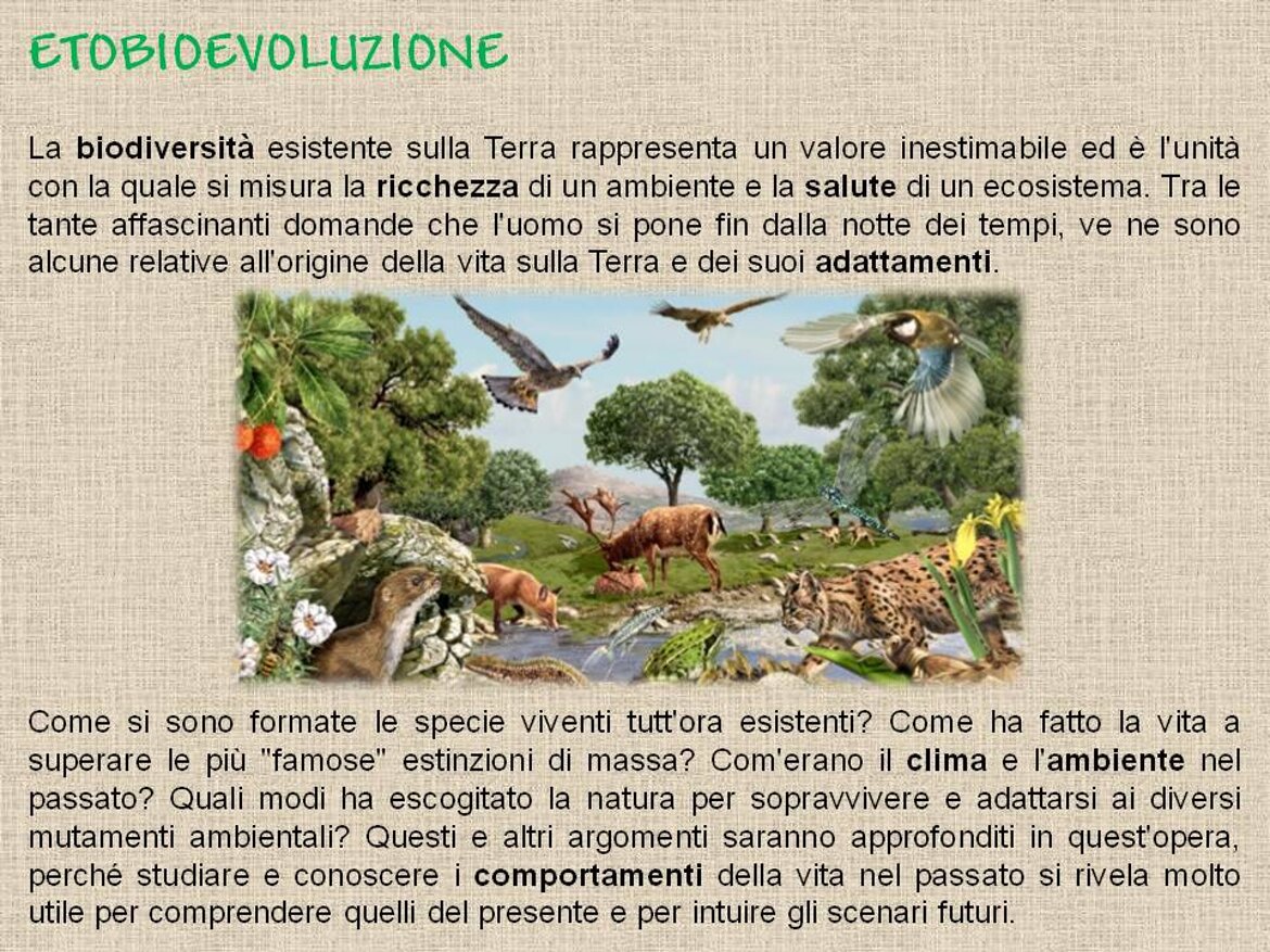 a24f9a4c-930a-407e-949b-e7e26f2a00e4