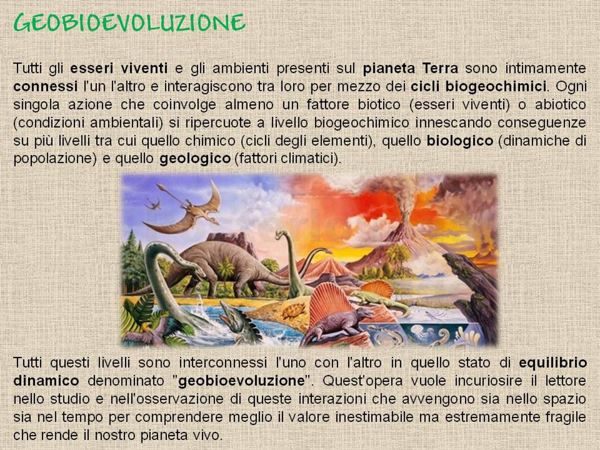 a84acca6-c21b-4dd4-a0d0-555e3dd5edf8