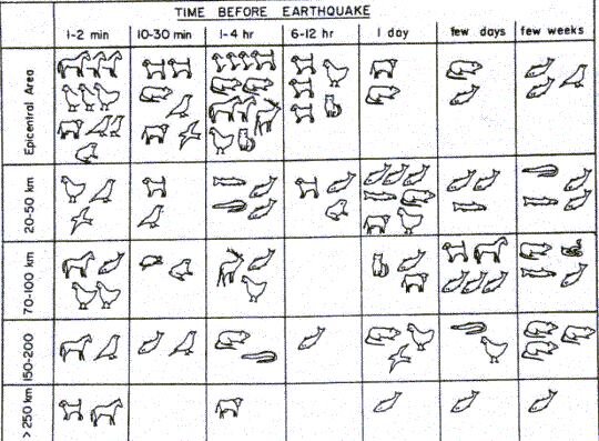 fc889cdc-43d8-41d1-a306-c9eff373d504